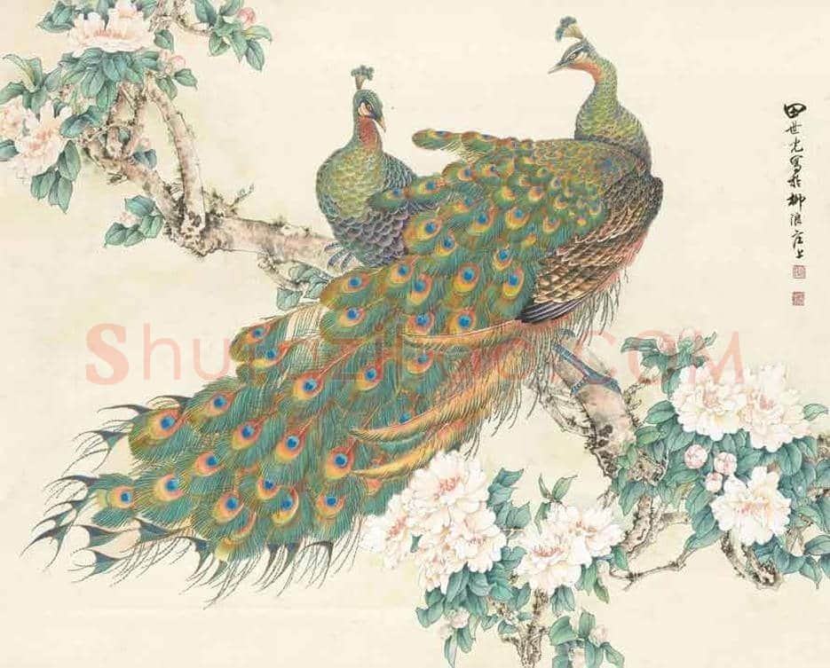 田世光笔下的孔雀，栩栩如生，仙气十足！ | 书画文摘