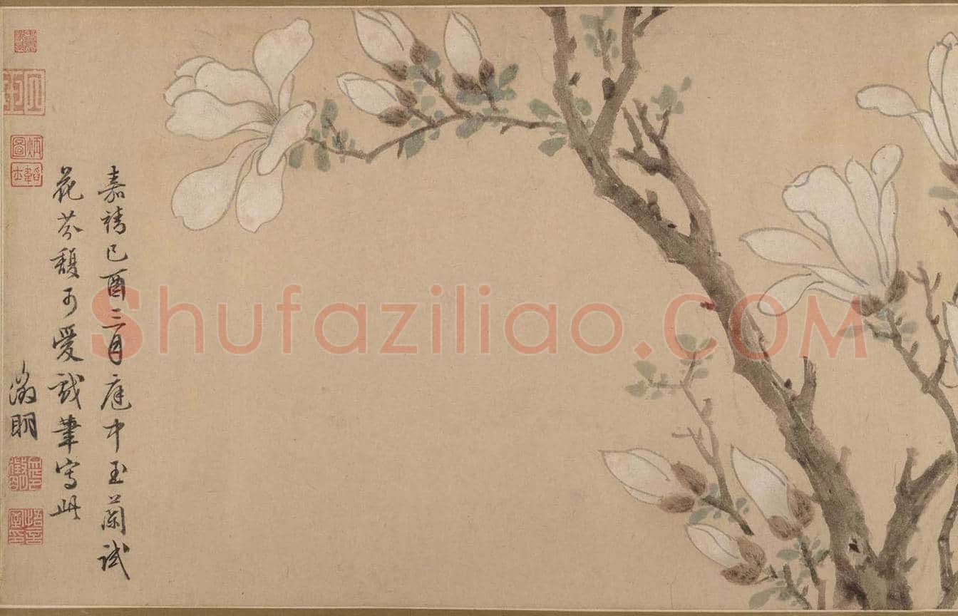 文徵明《白玉兰图卷》图赏 | 著名国画鉴赏