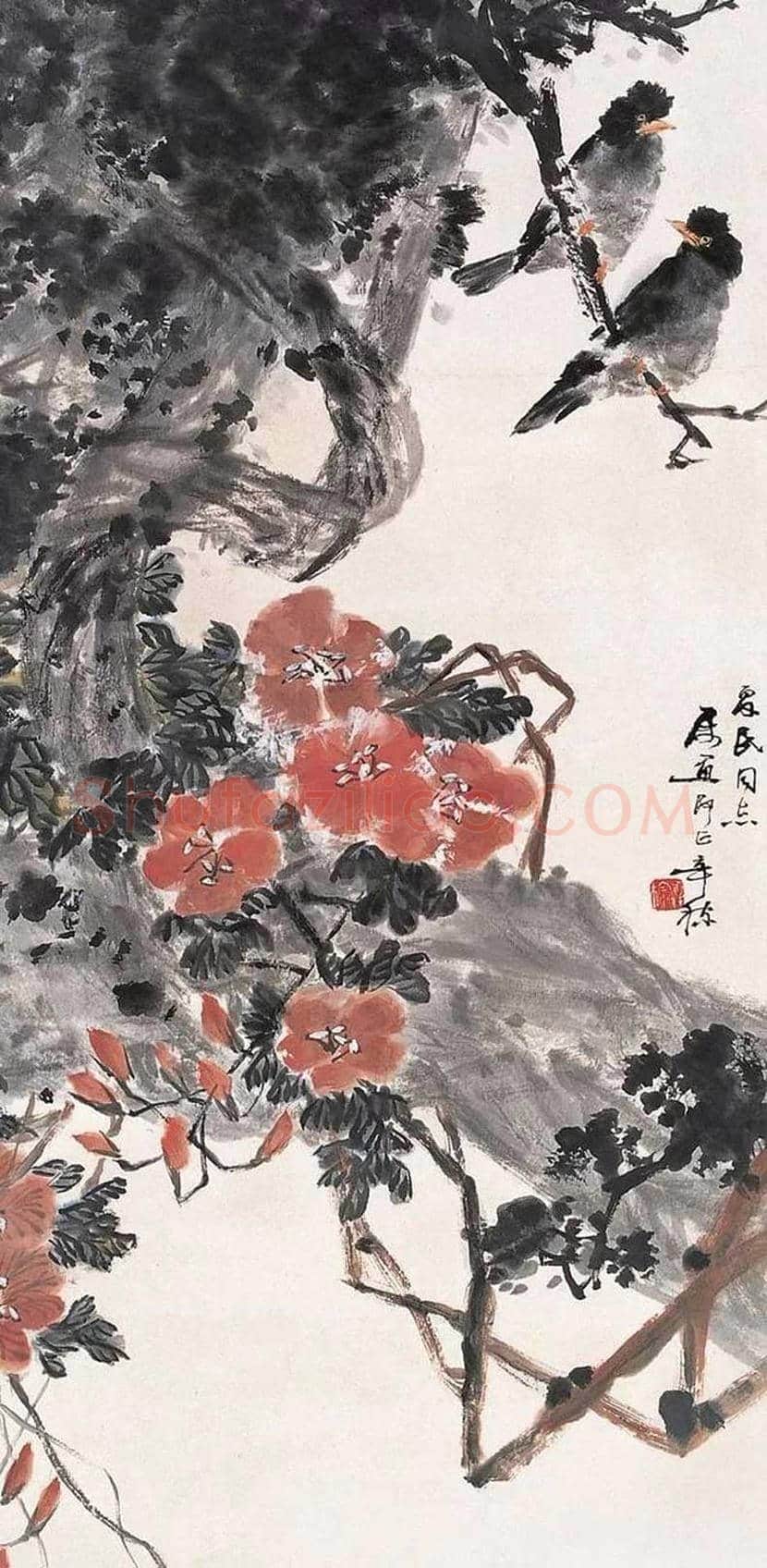张辛稼花鸟画作品欣赏 | 书画学堂