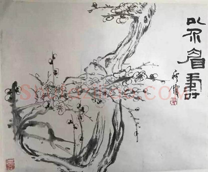 钱瘦铁梅花作品欣赏 | 书画百科