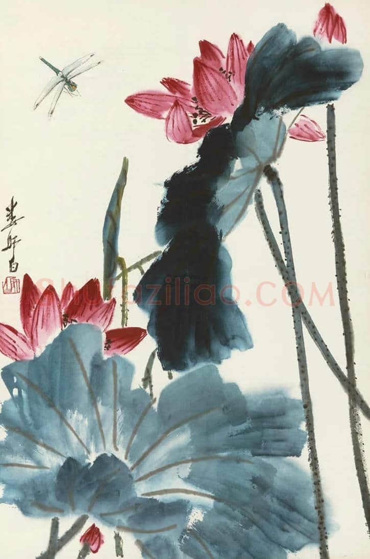 王雪涛娄师白荷花作品比较 | 书画学堂