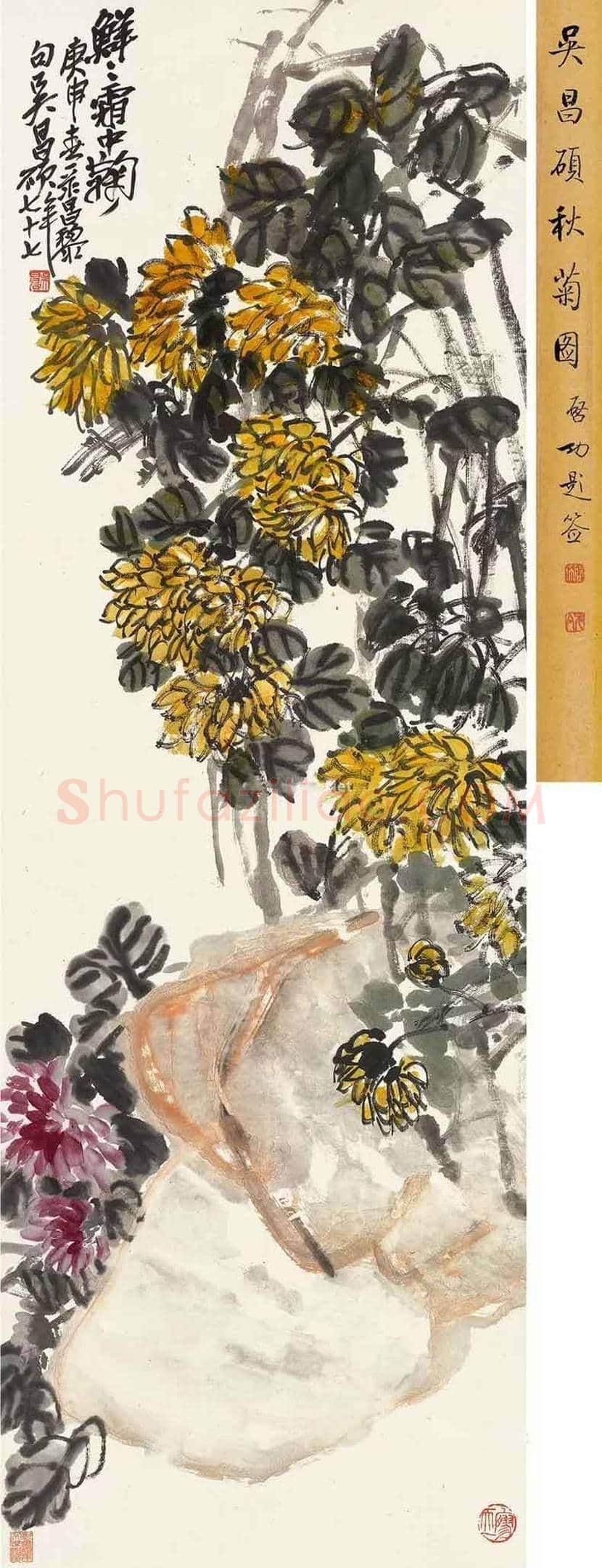 吴昌硕笔下的菊花 | 书画讲解