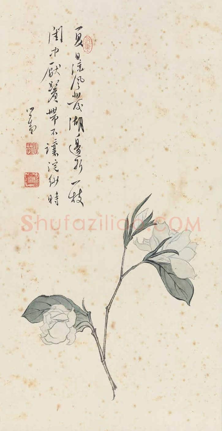 溥儒花卉作品欣赏 | 书画知识