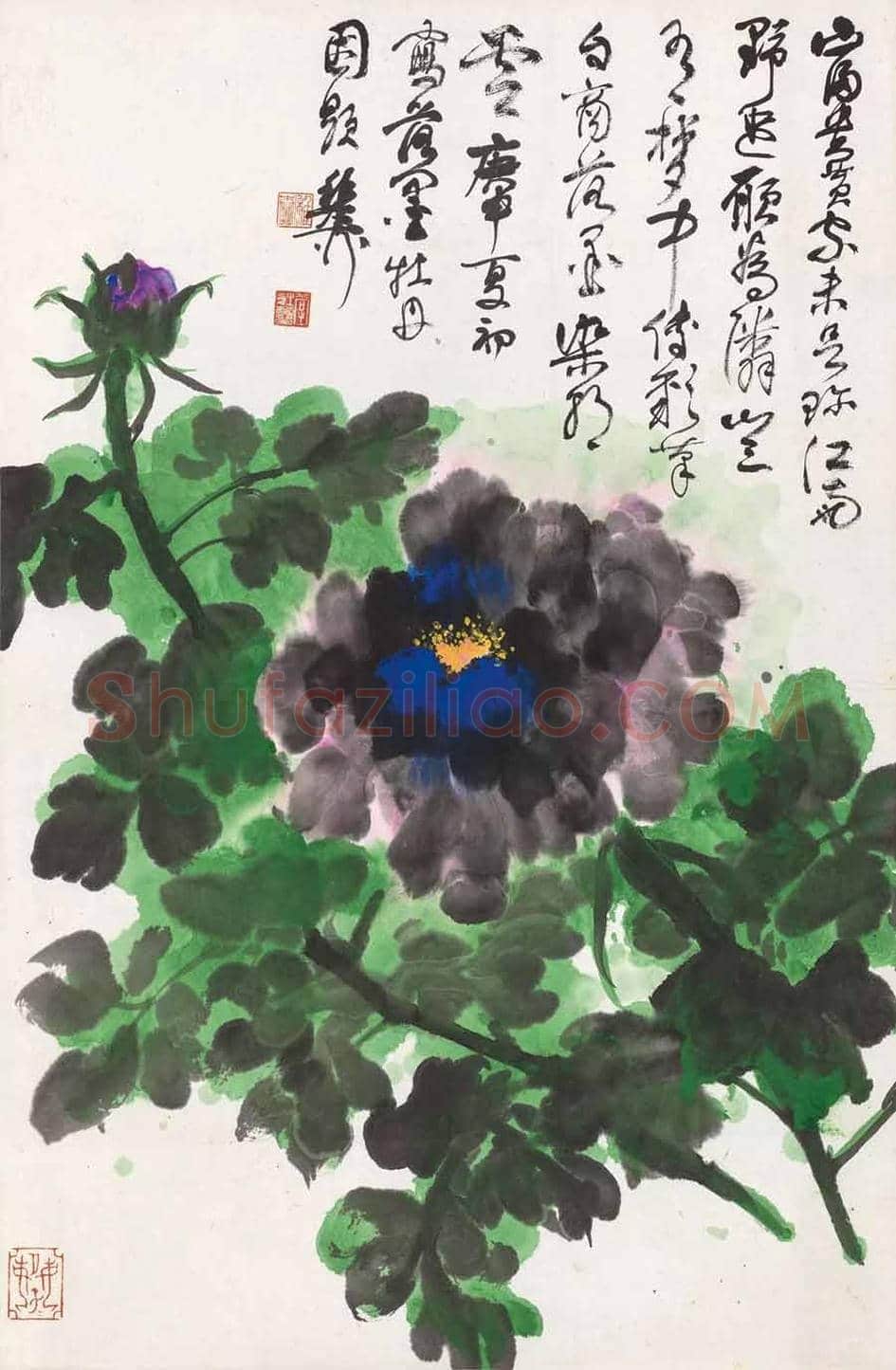 名家笔下的牡丹花【高清大图】 | 书画讲解