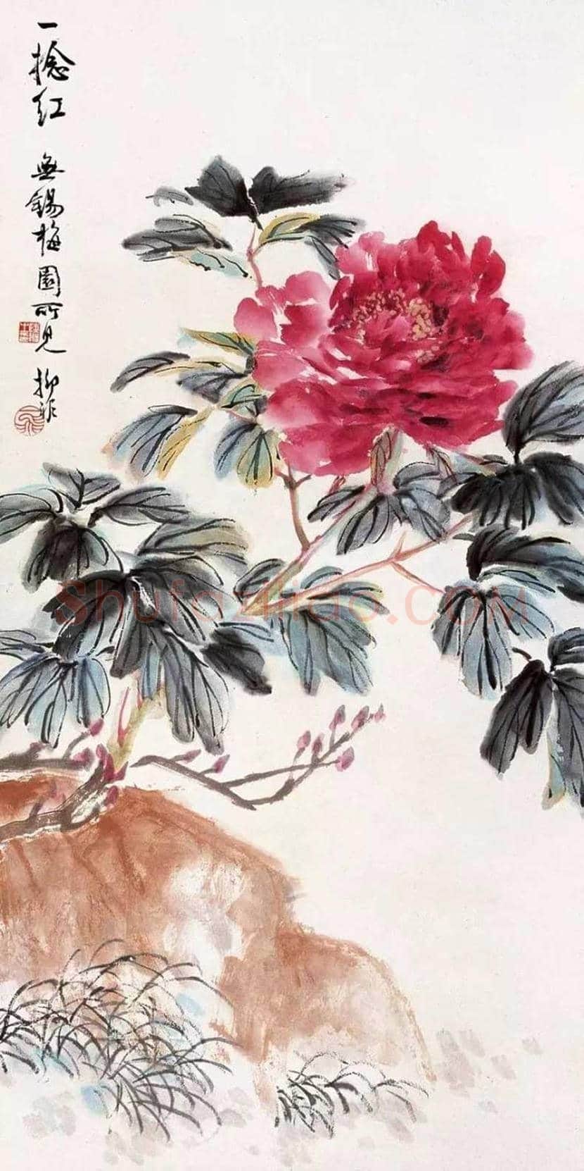 陆抑非牡丹作品欣赏 | 书画科普