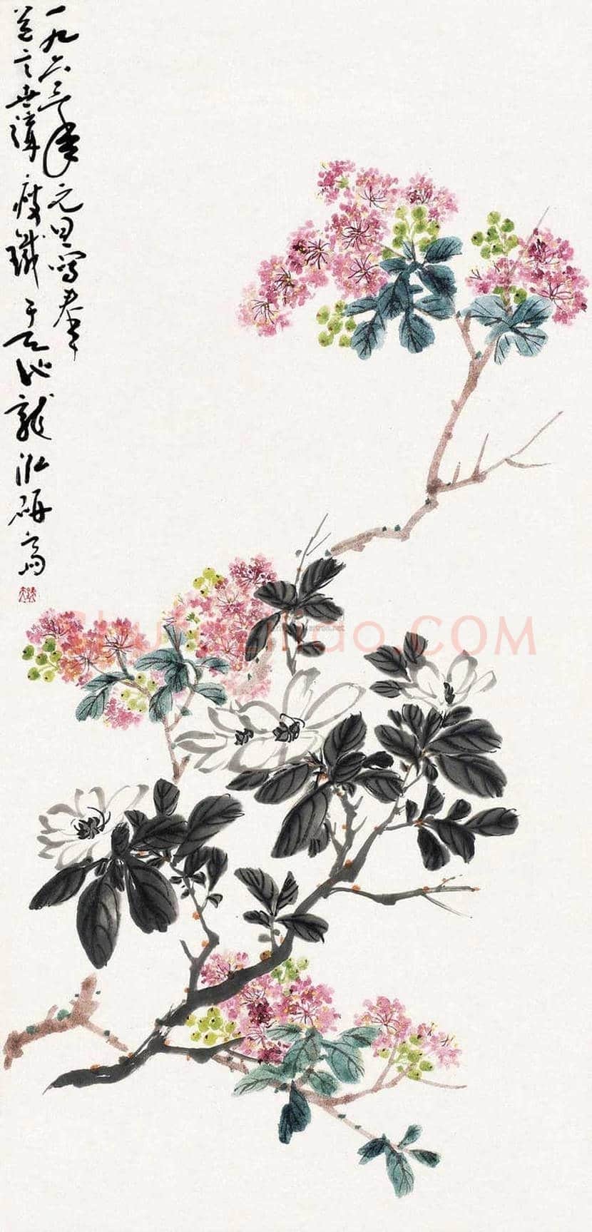 钱瘦铁花鸟画作品欣赏 | 书画讲解