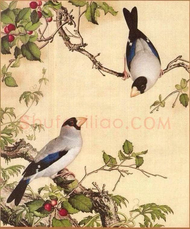 郎世宁笔下的中国花鸟 | 书画知识
