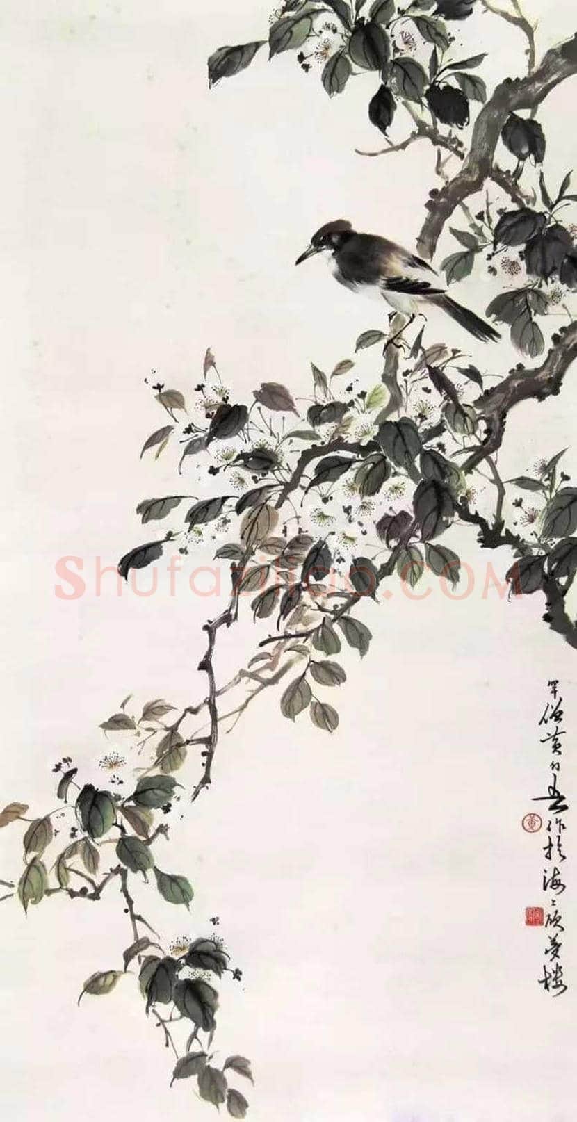黄幻吾花鸟画作品欣赏 | 书画科普