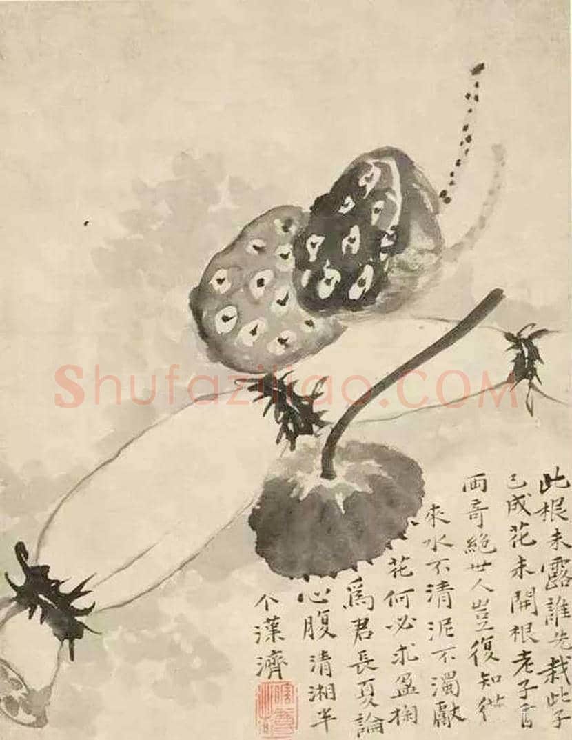 大师笔下的莲藕,味道各不同! | 书画科普