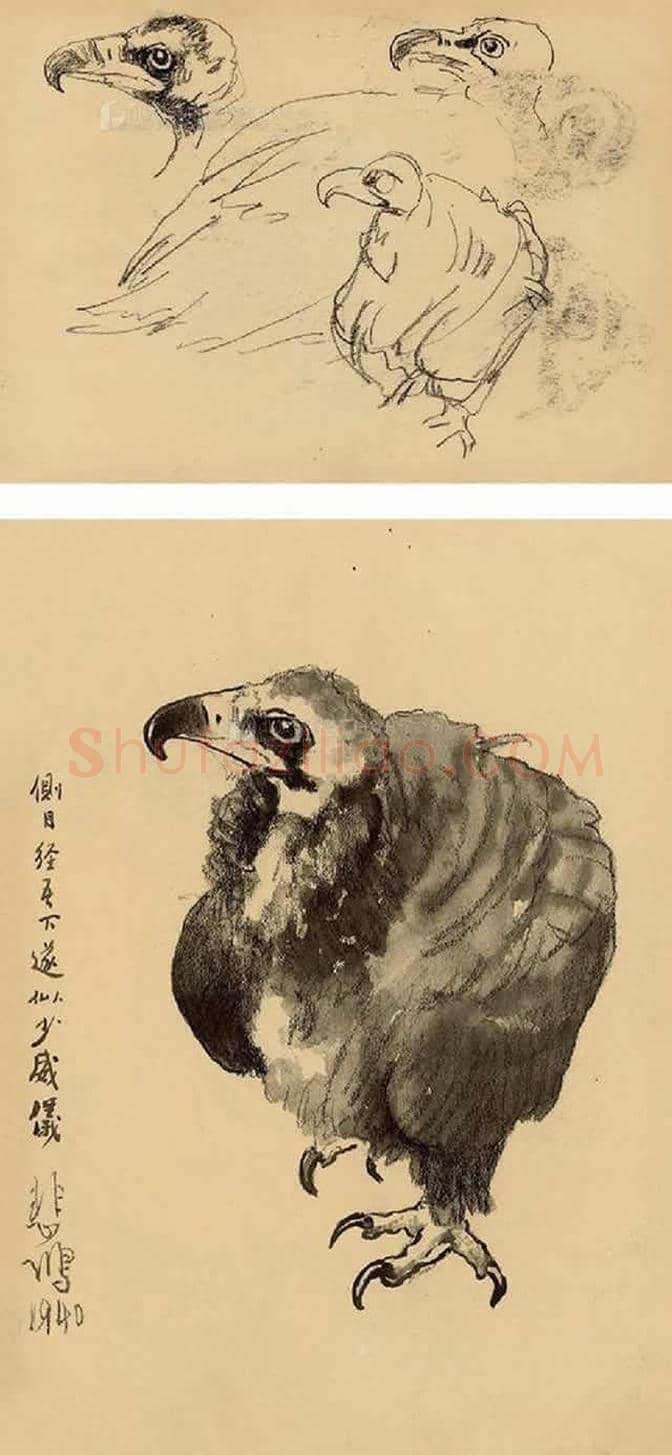 徐悲鸿素描作品（大全） | 书画文摘
