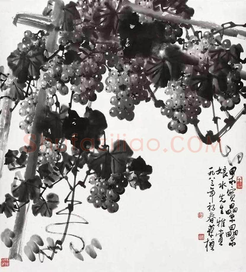 苏葆桢国画葡萄欣赏 | 书画知识