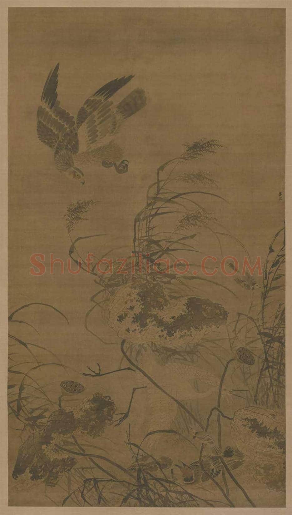 吕纪残荷鹰鹭图轴欣赏 | 著名国画图片