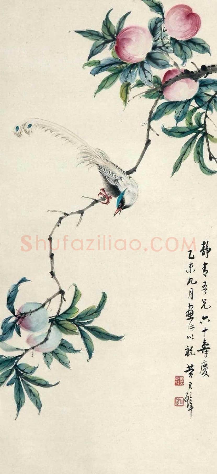 黄君璧花鸟画作品欣赏 | 书画文摘