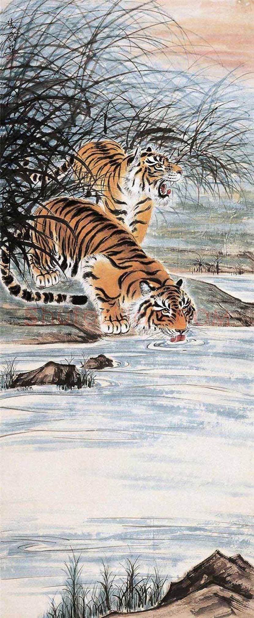 慕凌飞画虎作品欣赏 | 书画科普
