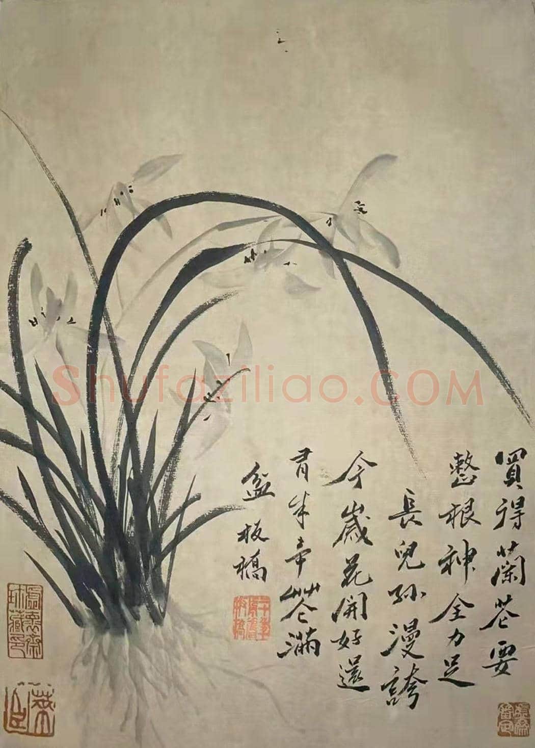庞元济旧藏——郑板桥《九畹清芬册》 | 国画赏析