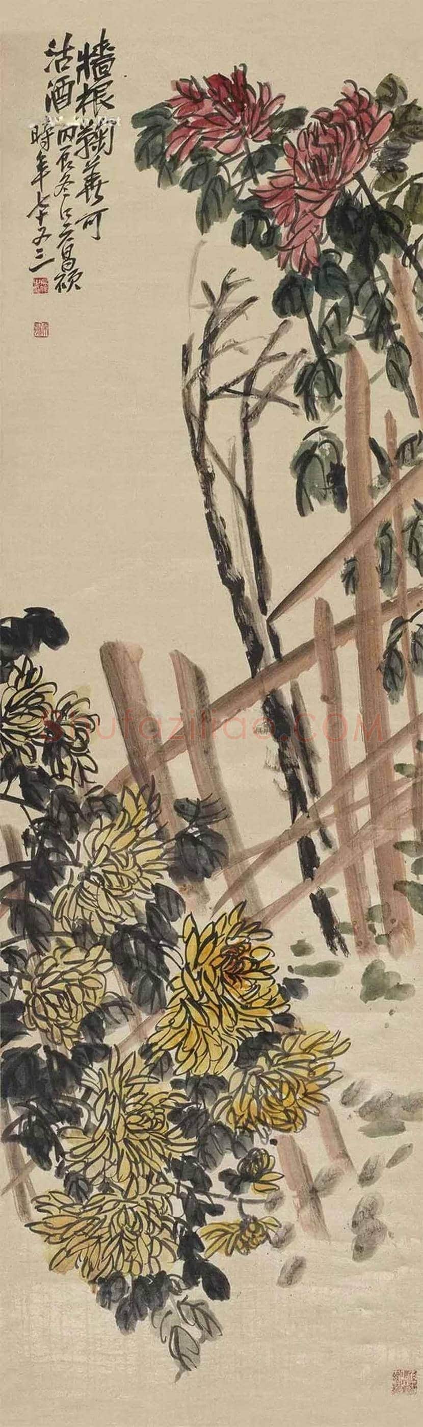 吴昌硕笔下的菊花 | 书画讲解