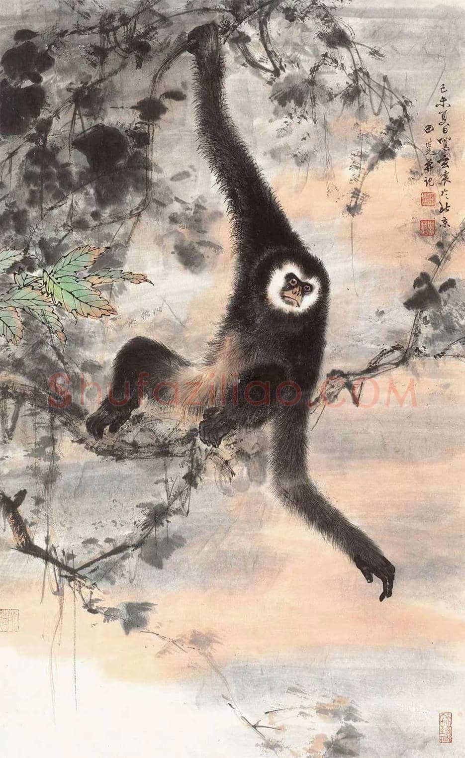 田世光猿猴作品精选 | 书画文摘