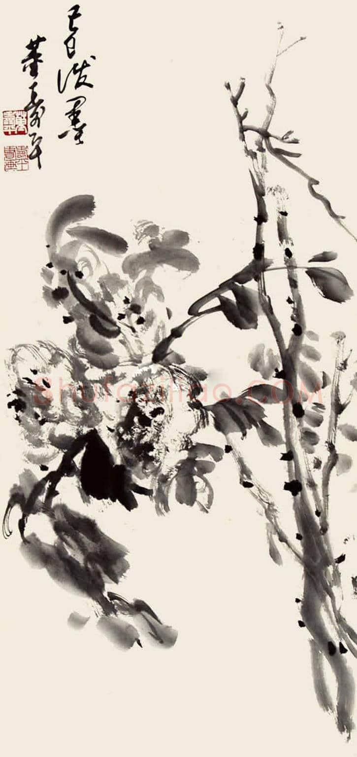 董寿平笔下的牡丹 | 书画讲解