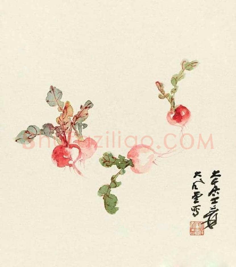 张大千所画瓜果蔬菜,有一种淡雅的意境 | 书画资料