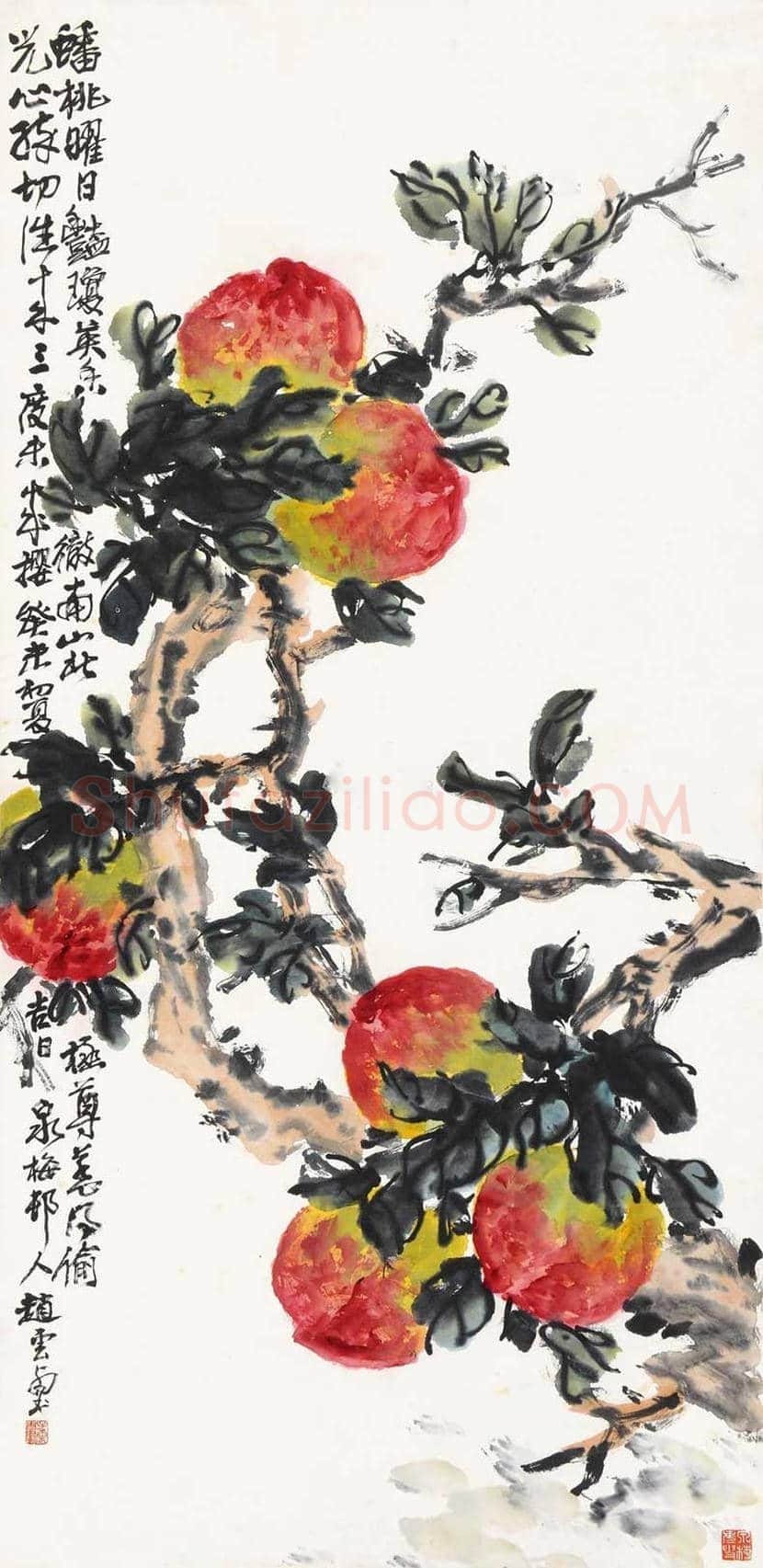 赵云壑花鸟画欣赏 | 书画资料
