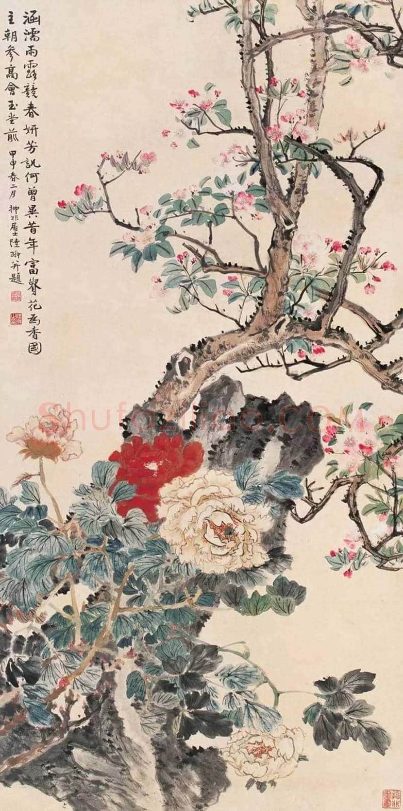 陆抑非牡丹作品欣赏 | 书画科普