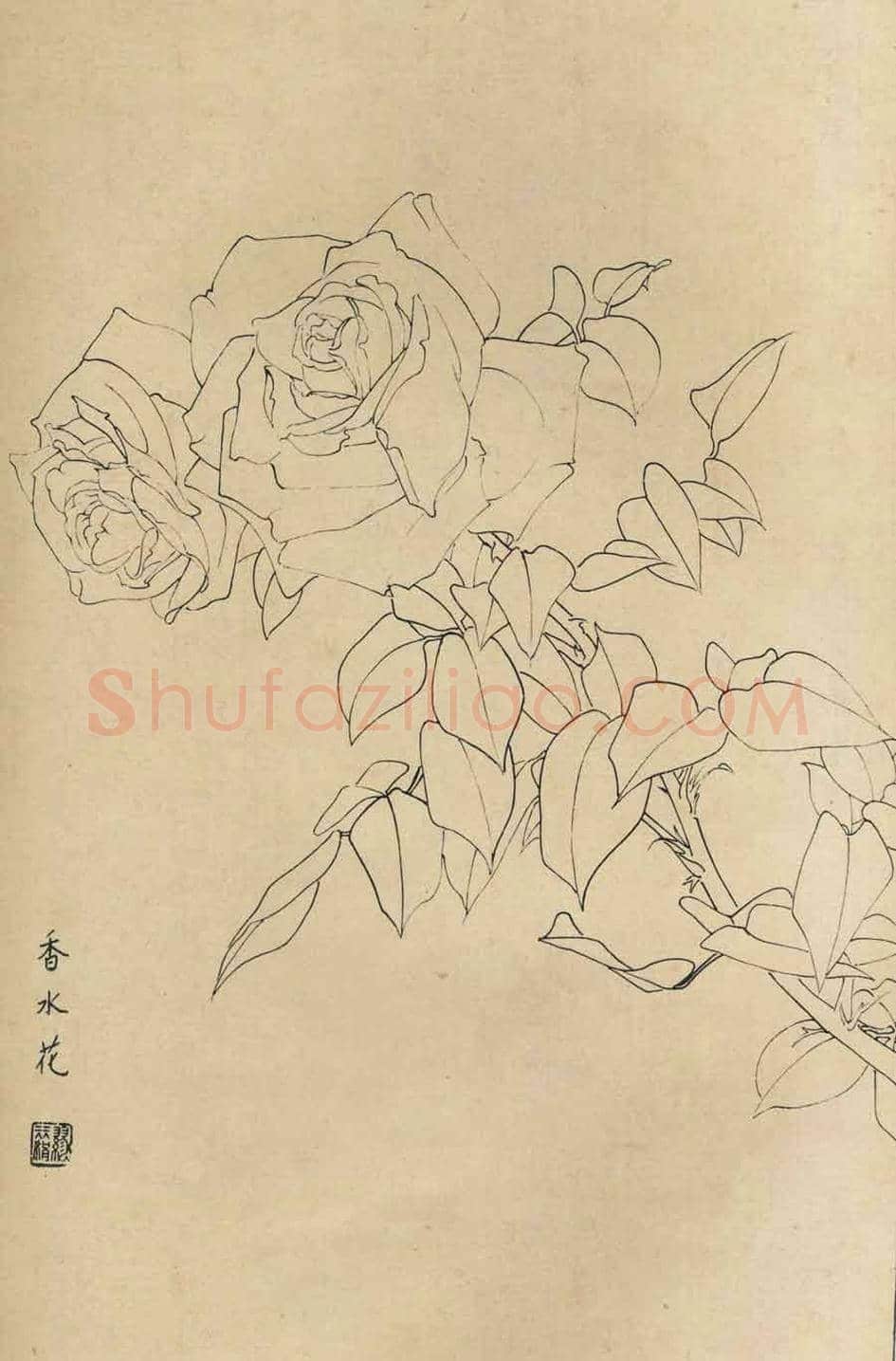 百花图谱大全【白描画】 | 书画资料