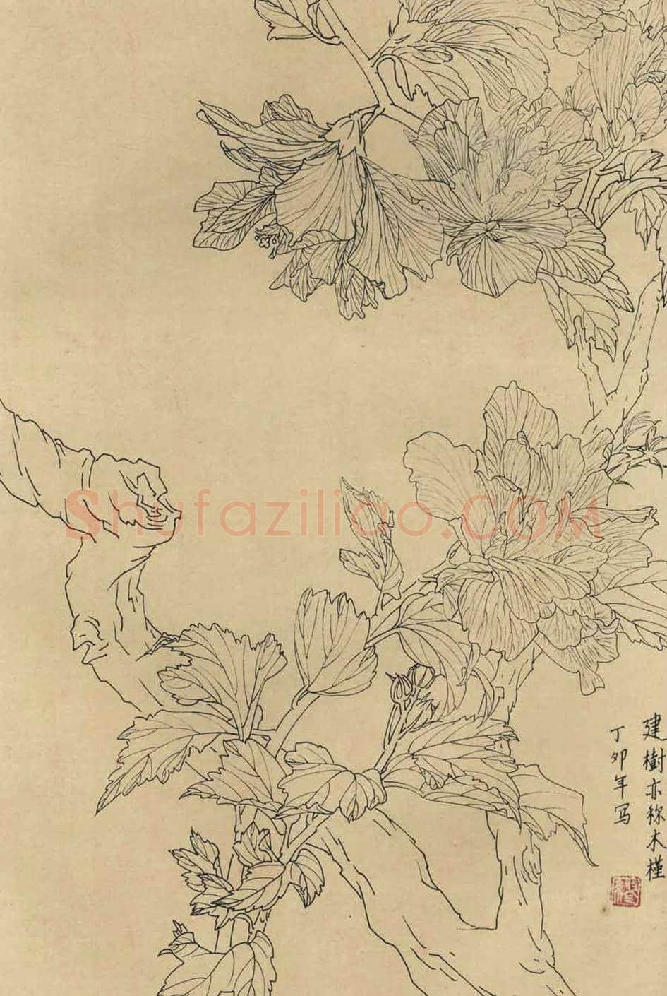 百花图谱大全【白描画】 | 书画资料