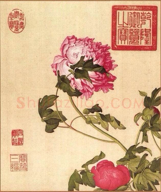 郎世宁笔下的中国花鸟 | 书画知识