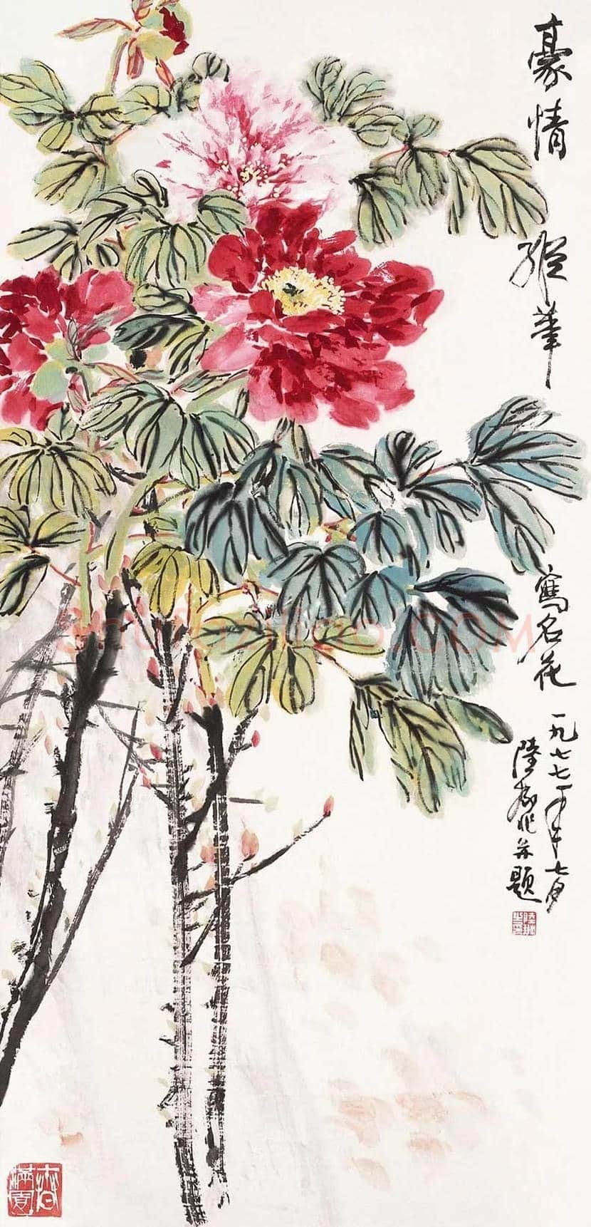 陆抑非牡丹作品欣赏 | 书画科普