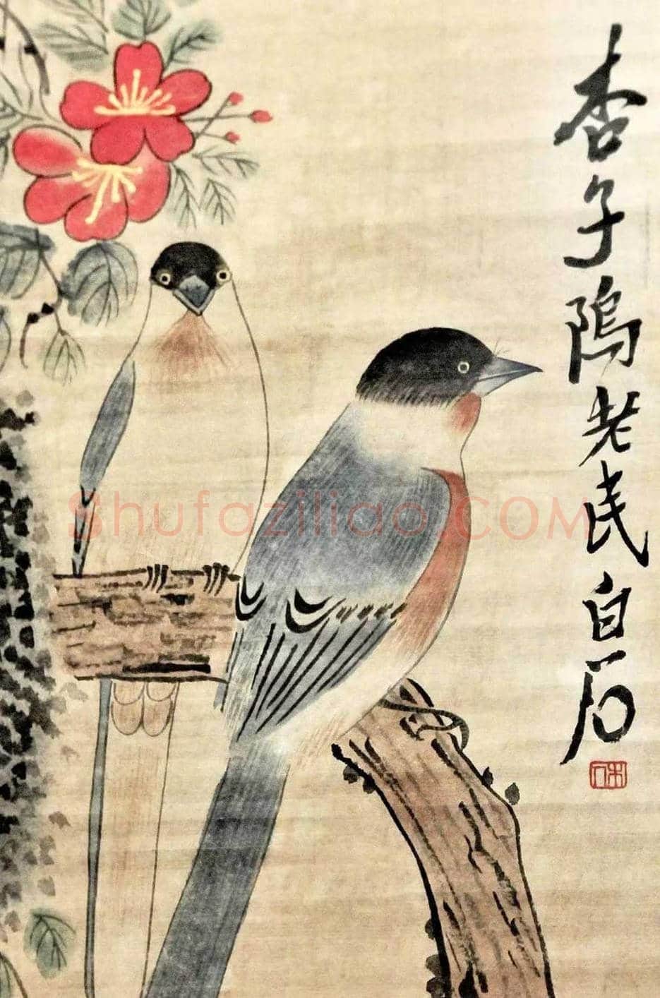齐白石早期绘画的认识与鉴赏 | 书画讲解