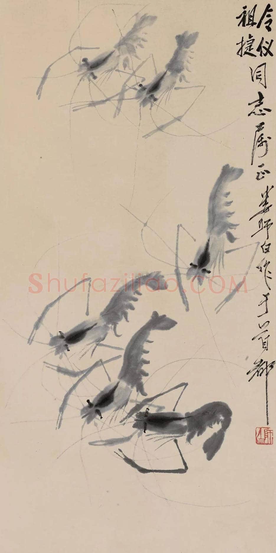 娄师白画虾作品欣赏 | 书画知识