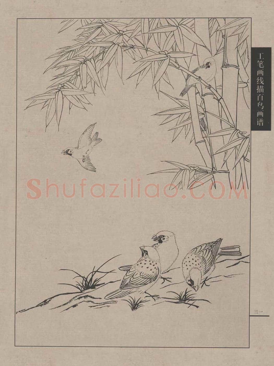 工笔画线描百鸟画谱，太美了 | 书画资料