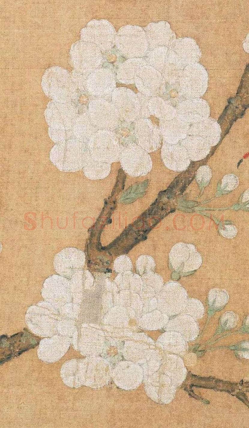 宋 《梨花鹦鹉图》，清新生动！ | 书画百科