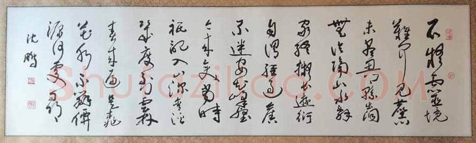 沈鹏草书精品-第四届书协主席 | 名人书法作品