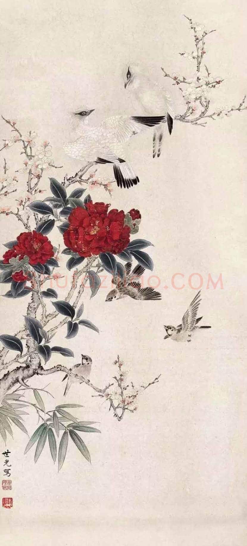 田世光花鸟画作品欣赏 | 书画科普