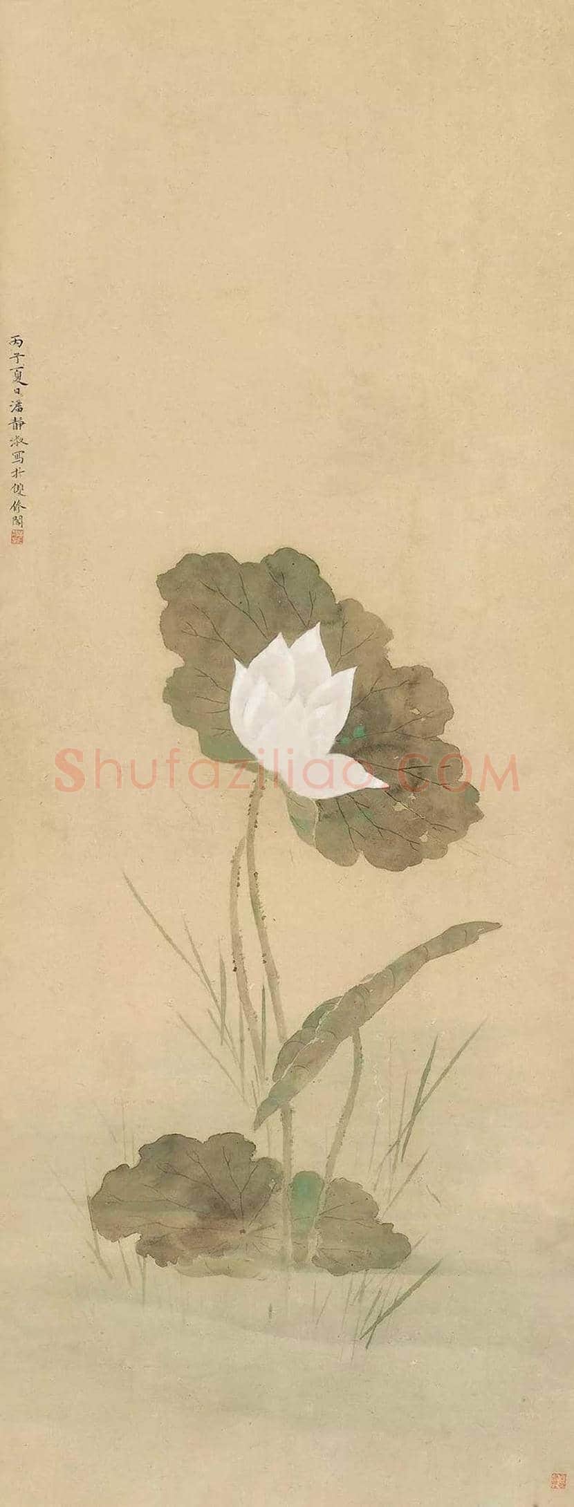 潘静淑作品欣赏 | 书画知识