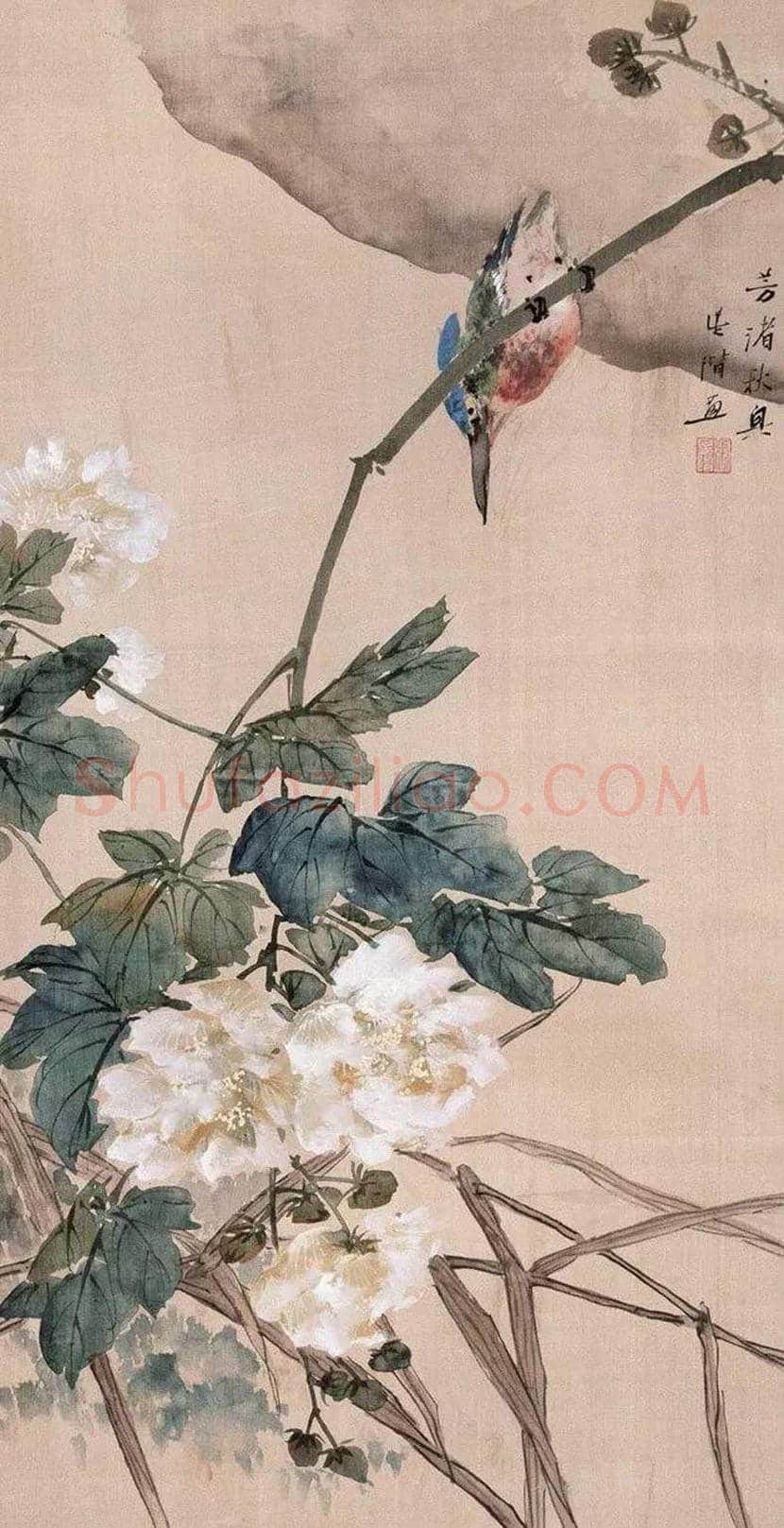 张辛稼花鸟画作品欣赏 | 书画学堂