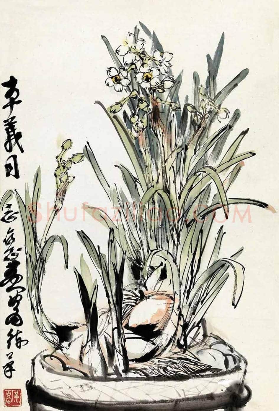 名家笔下的水仙,万种风情,尽在不言中! | 书画百科