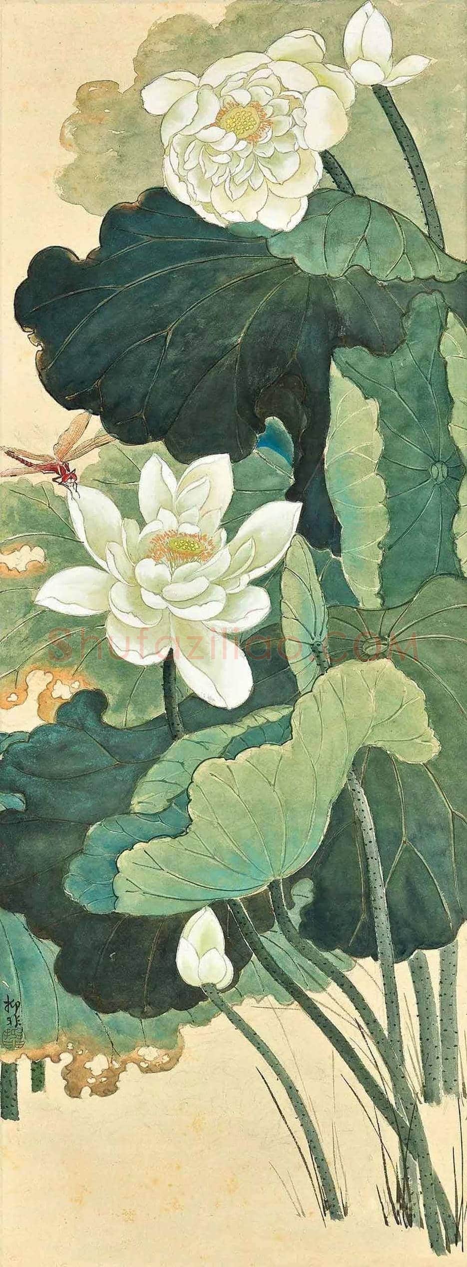 陆抑非荷花作品欣赏 | 书画文摘