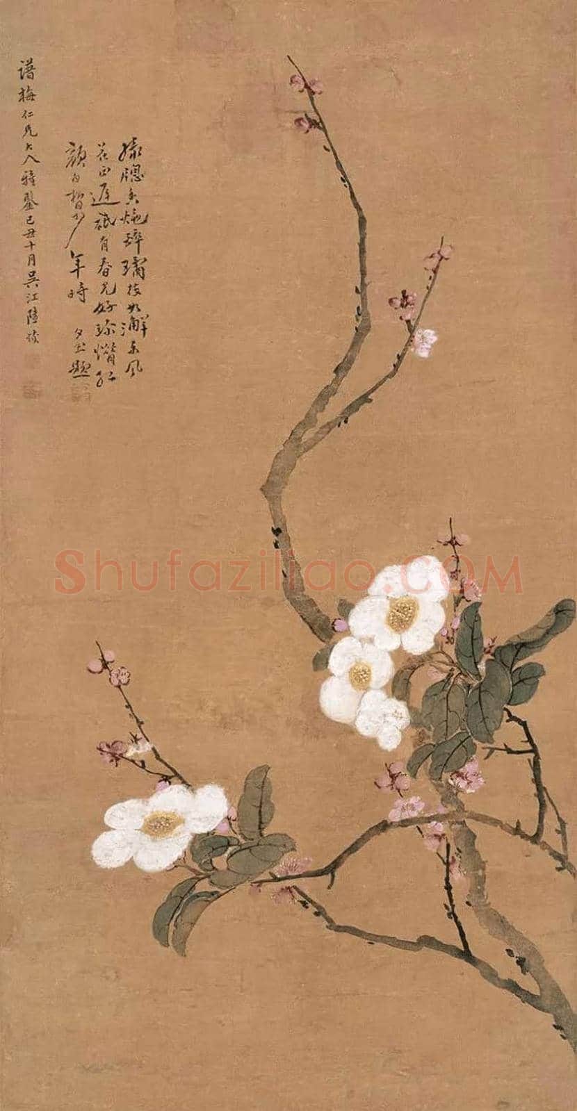 陆恢花鸟画作品欣赏 | 书画讲解