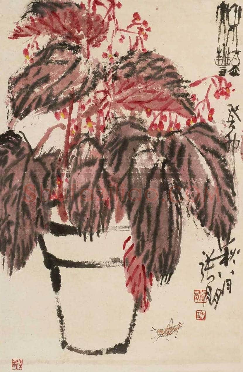 张朋花鸟画作品欣赏 | 书画文摘
