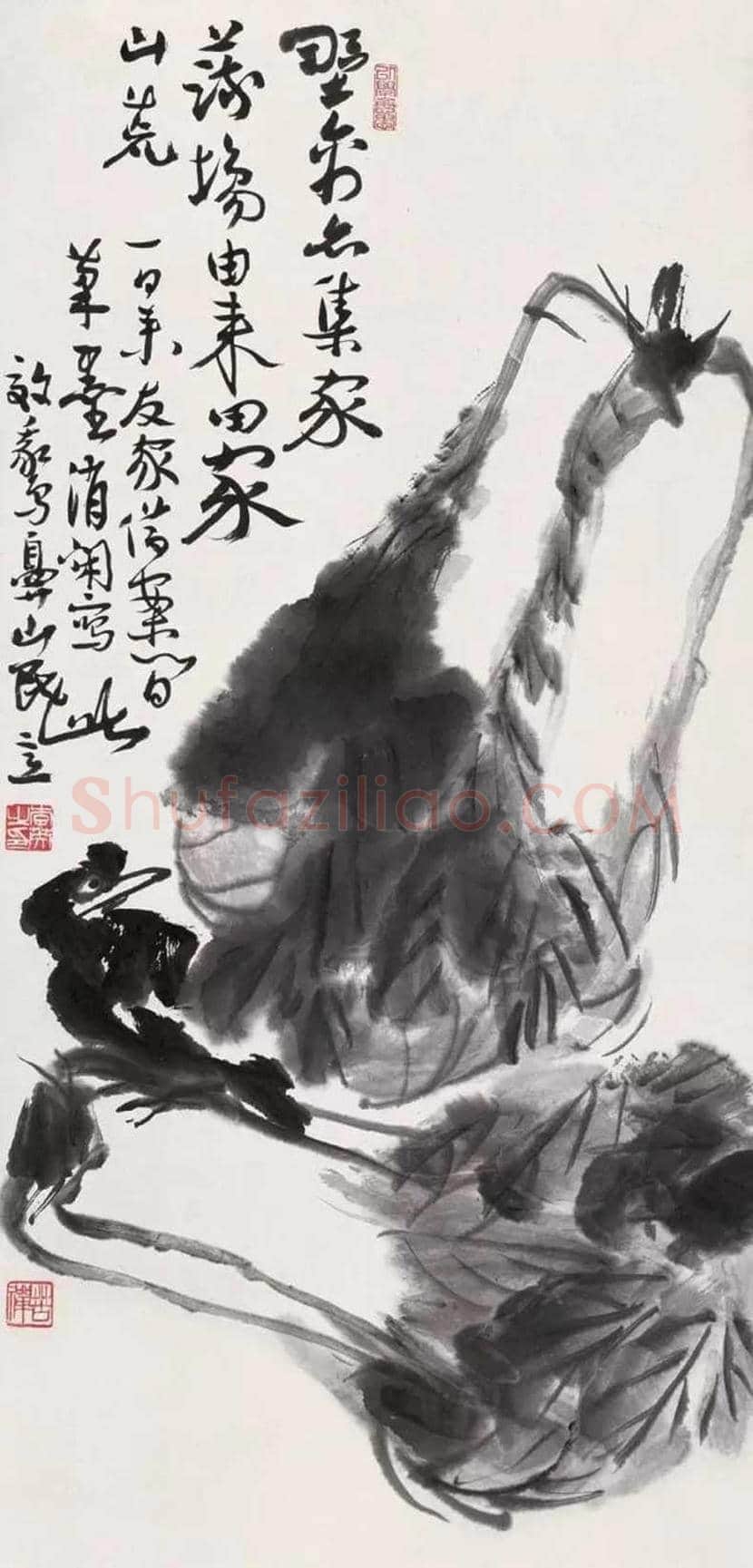 名家笔下的白菜画,百看不厌! | 书画讲解