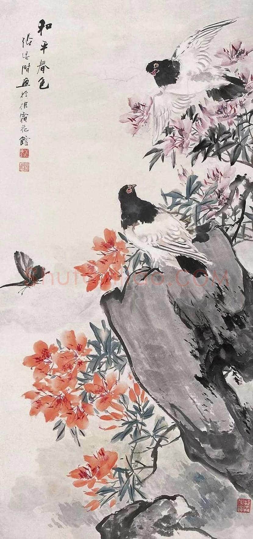 张辛稼花鸟画作品欣赏 | 书画学堂