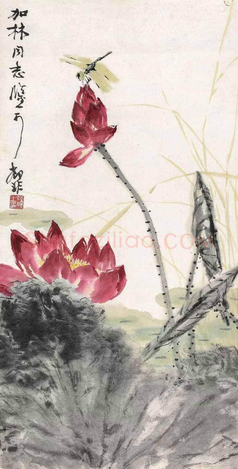陆抑非荷花作品欣赏 | 书画文摘