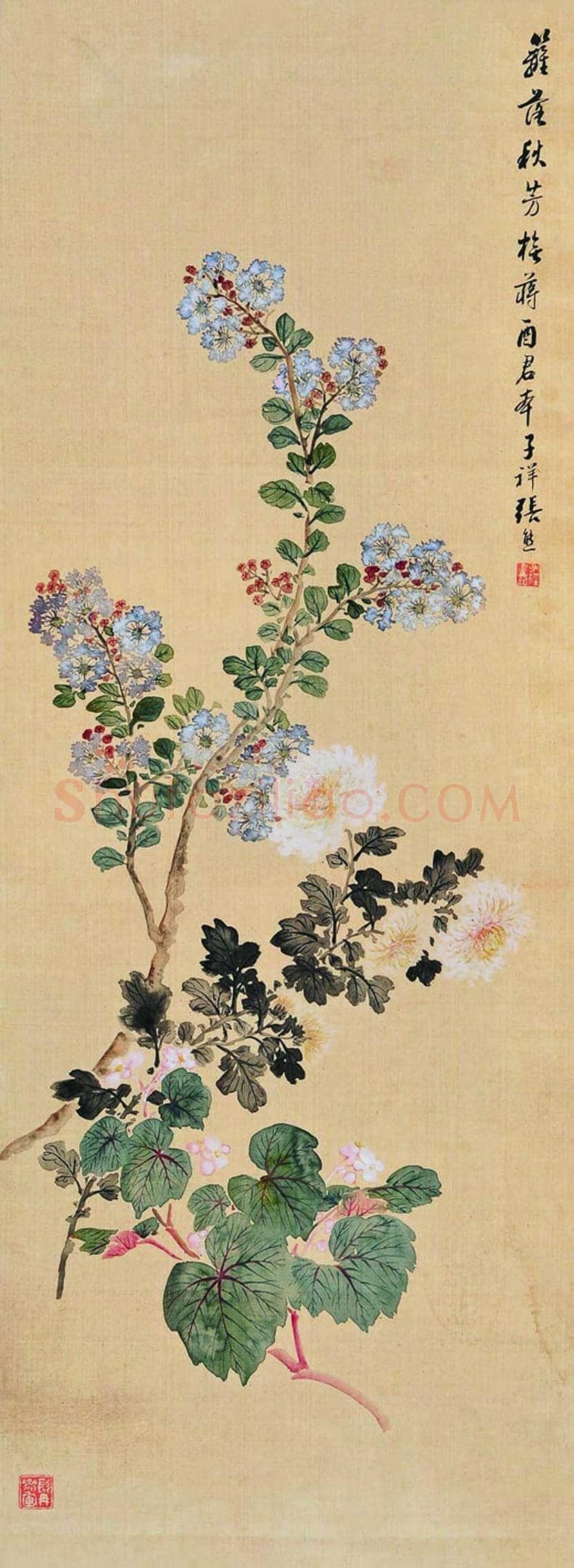 张熊花鸟画作品欣赏 | 书画常识