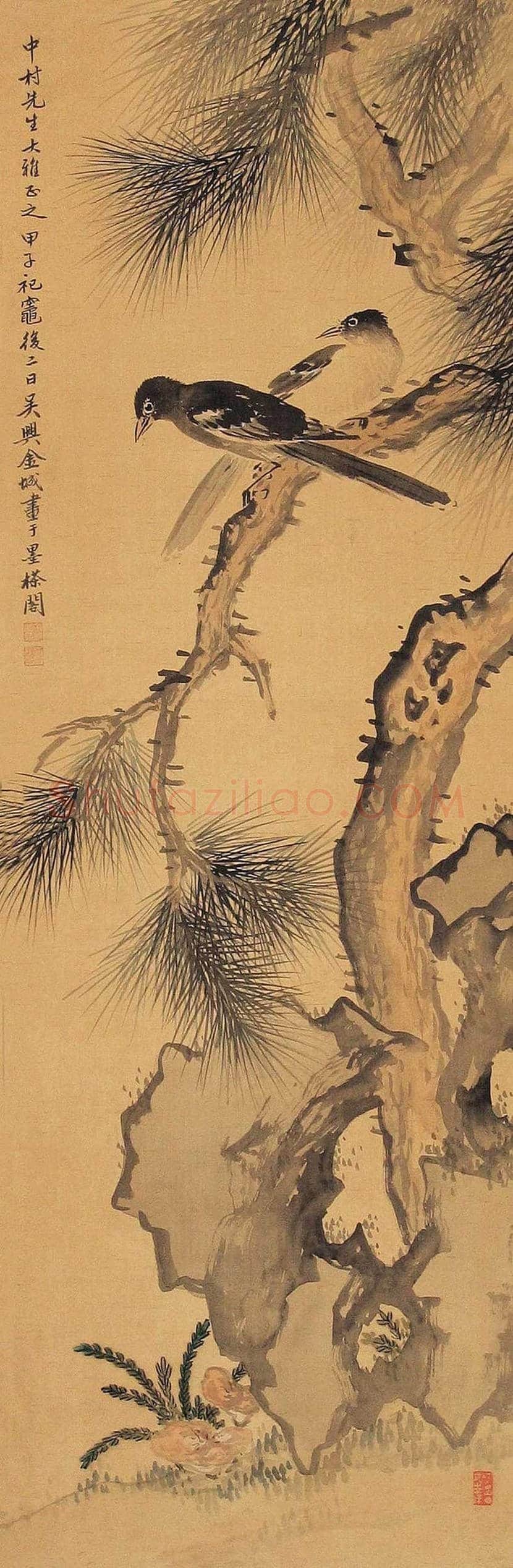 金城花鸟画作品欣赏 | 书画学堂