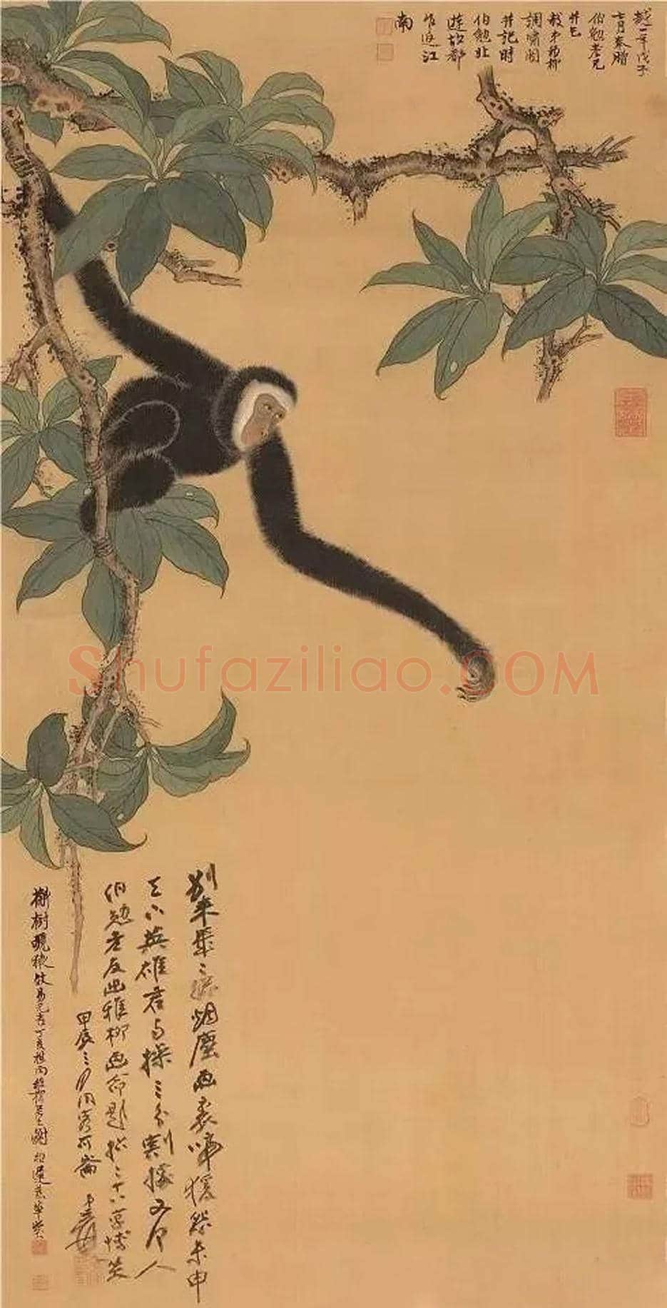 谢稚柳作品《槲树猿啼图》欣赏 | 书画学堂