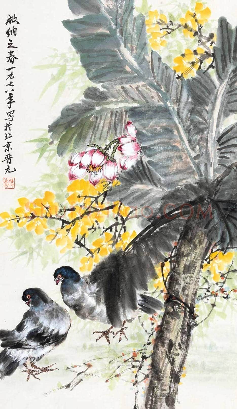 王晋元花鸟画作品欣赏 | 书画学堂