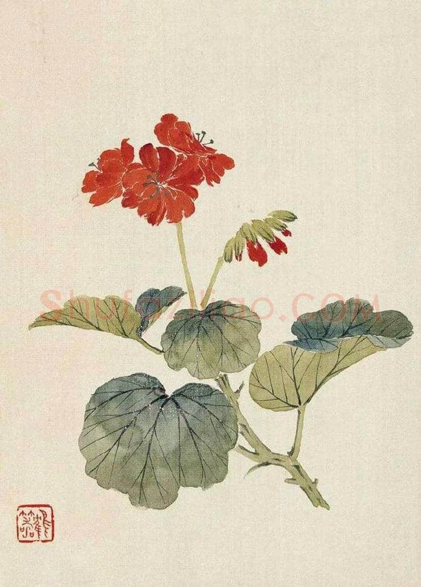 李鹤筹花鸟画作品欣赏 | 书画文摘