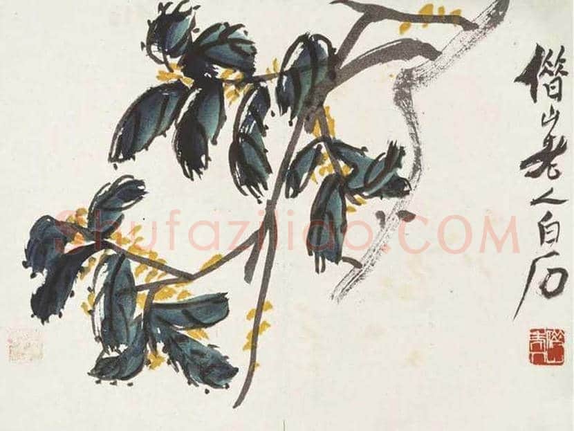 齐白石《花卉册》欣赏 | 书画资料